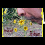 Stop And Smell The Flowers cards