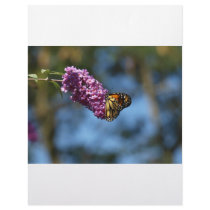 Stop and Smell the Flowers Letterhead Template