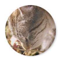 Stop and Smell the Flowers magnets by angelandspot Stop and Smell the Flowers magnets