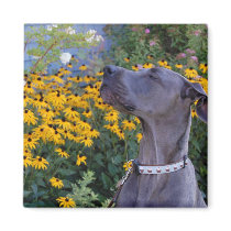 Stop and Smell the Flowers Magnet by quirkyone Stop and Smell the Flowers Magnet