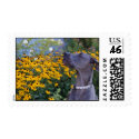 Stop and Smell the Flowers Postage Stamp