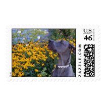 Stop and Smell the Flowers Postage Stamp