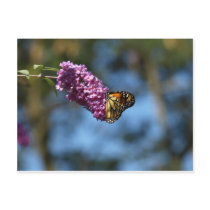 Stop and Smell the Flowers postcards by grumpysway Stop and Smell the Flowers postcards