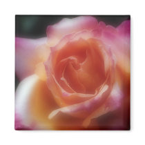 Stop and smell the Roses magnets by Jack_of_Arts Stop and smell the Roses magnets