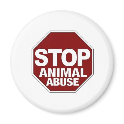 Stop Animal Abuse Refrigerator Magnets by worldsfair