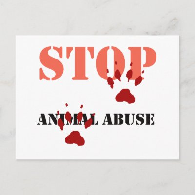 Animal Abuse Charities