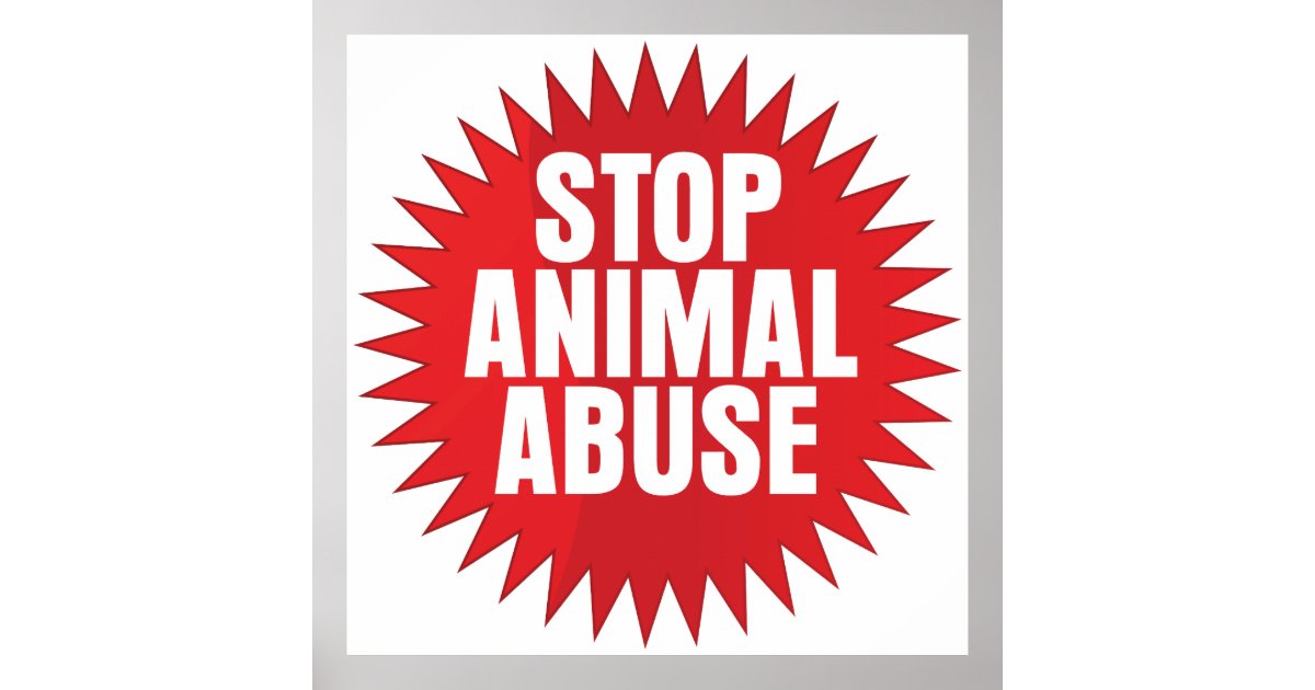 Kids View On Animal Abuse Videos Kids View On Animal Abuse Videos