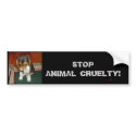 STOP ANIMAL CRUELTY! Bumper sticker bumper stickers