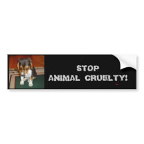 STOP ANIMAL CRUELTY! Bumper sticker bumper stickers by TrinityFarm STOP ANIMAL CRUELTY! Bumper sticker bumper stickers