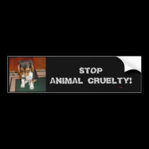 STOP ANIMAL CRUELTY! Bumper sticker bumper stickers