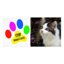 Stop Animal Cruelty Pet Photo Card