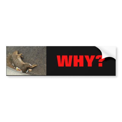 STOP ANIMAL SLAUGHTER ON THE ROAD BUMPER STICKERS