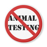 stop animal testing refrigerator magnet