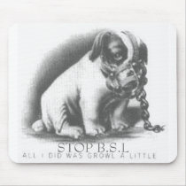 STOP B.S.L MOUSE PAD