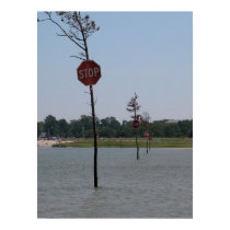 STOP posters