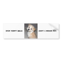 STOP PUPPY MILLS - ADOPT A RESCUE PET bumper stickers by patsarts STOP PUPPY MILLS - ADOPT A RESCUE PET bumper stickers