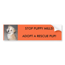 STOP PUPPY MILLS!ADOPT A RESCUSE PUP!... bumper stickers by patsarts STOP PUPPY MILLS!ADOPT A RESCUSE PUP!... bumper stickers