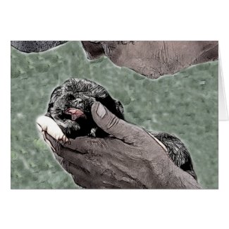 Stop Puppy Mills Animal Adoption Card card