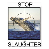 Stop Slaughter-whales posters