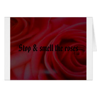 stop and smell the roses shirt