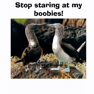 Stop Staring At My Boobies! shirt
