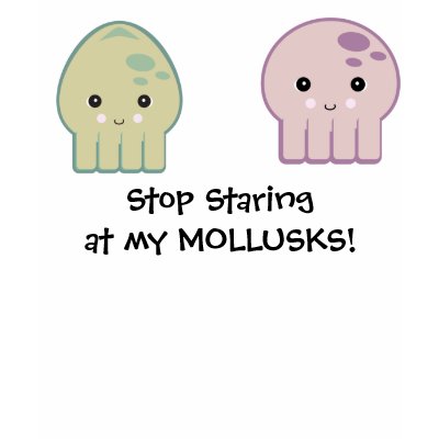 Stop Staring at my Mollusks (boobs) Tshirt Zazzle_shirt Stop Staring at my Mollusks (boobs) Tshirt Zazzle_shirt