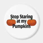 Stop Staring At My Pumpkins Refrigerator Magnet