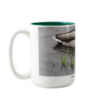 Stop taking my picture  Mug