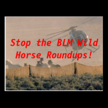 STOP THE ROUNDUP postcards