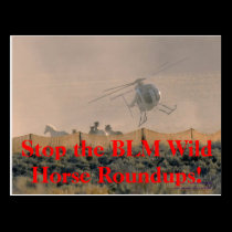 STOP THE ROUNDUPS President Obama! postcards