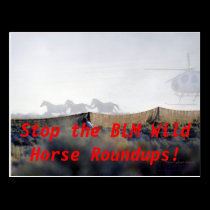 STOP THE ROUNDUPS President Obama! postcards