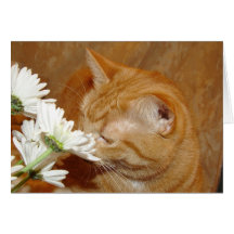 Stop to smell the flowers card