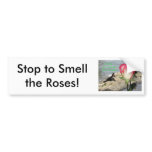 "Stop To Smell The Roses" Bumper Stickers