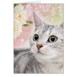 Stop To Smell The Roses Greeting Card