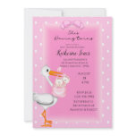 Stork and Twin Girls Shower Invitations