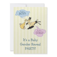 Stork Baby Gender Reveal Party Personalized Invite