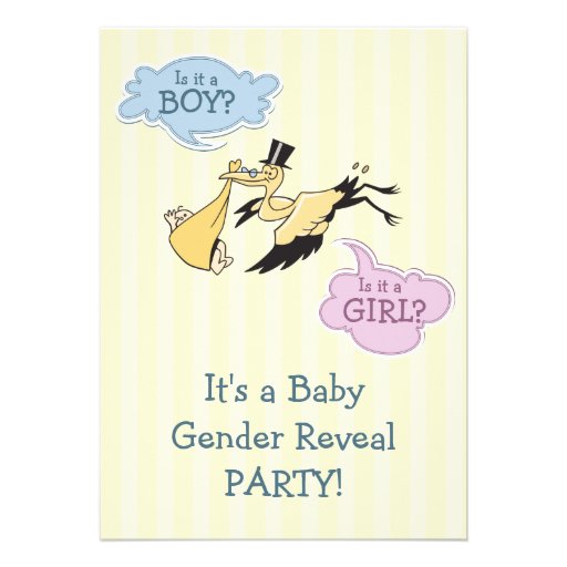 Stork Baby Gender Reveal Party Personalized Invite