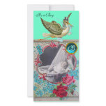STORK BABY SHOWER MONOGRAM ,aquamarine Photo Card Template