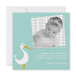 Stork Birth Custom Announcements