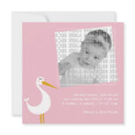 Stork Birth Custom Announcements