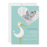 Stork Birth Personalized Invitation