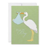 Stork Boy Baby Shower Invitation