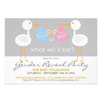 Stork Bundle Gender Reveal Party Invitation