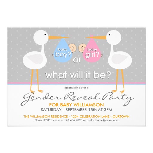 Stork Bundle Gender Reveal Party Invitation (front side)