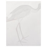 Stork By Pisanello (Best Quality) Letterhead Template