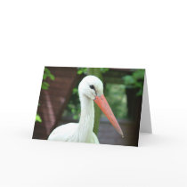 stork cards