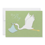 Stork Delivers Boy Baby Shower Invitation