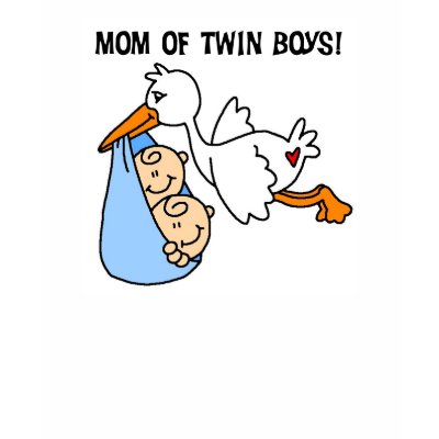 Stork Mom of Twin Boys T Shirt by familymembers