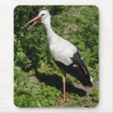 stork mousepads