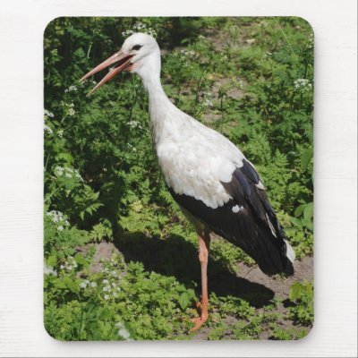 stork mouse pad by VioDePhoto